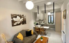Elia Downtown Eco House
